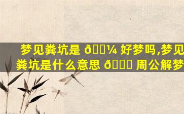 梦见粪坑是 🌼 好梦吗,梦见粪坑是什么意思 🕊 周公解梦